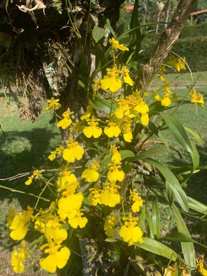 Casa Na Serra Βίλα Teresópolis Εξωτερικό φωτογραφία