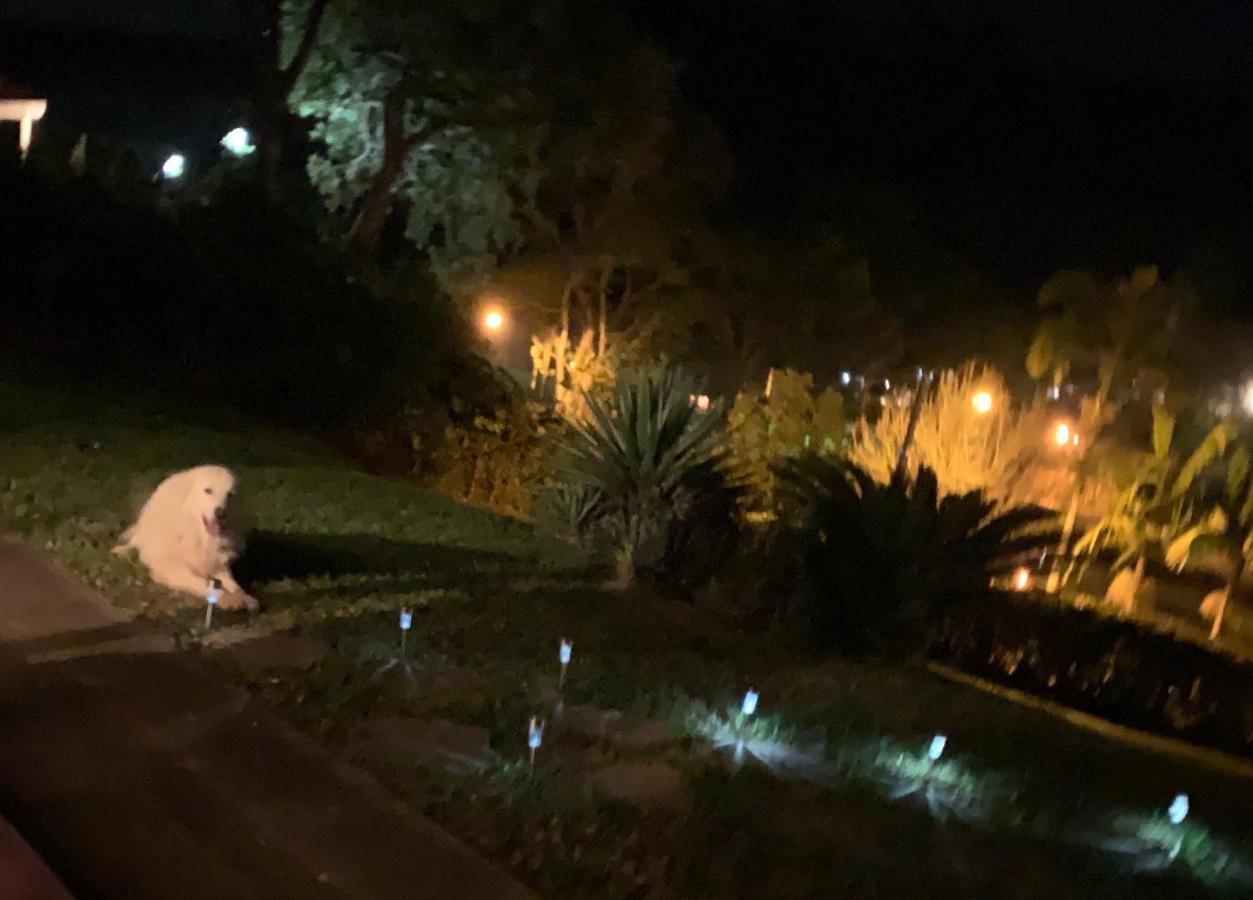 Casa Na Serra Βίλα Teresópolis Εξωτερικό φωτογραφία