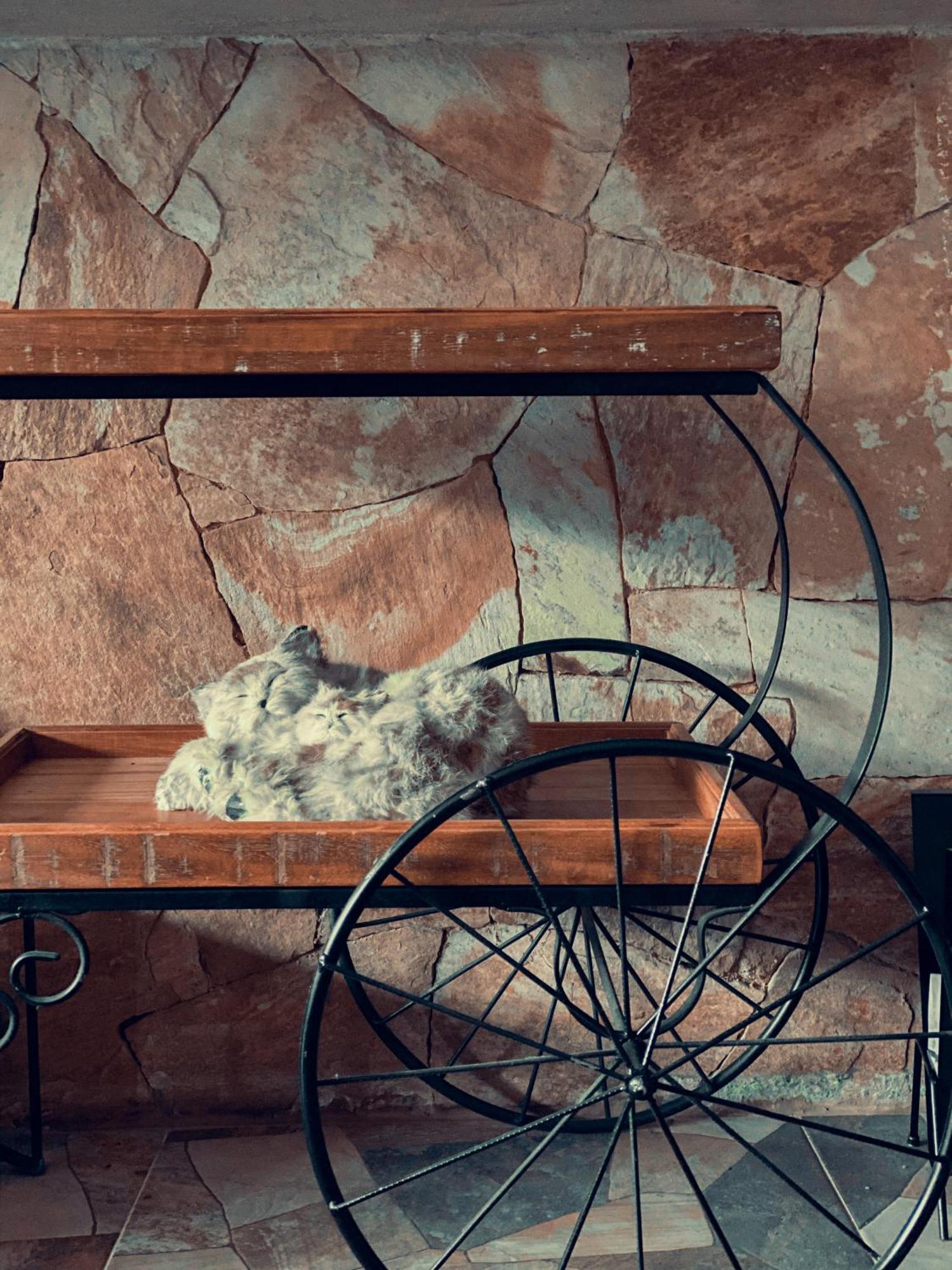 Casa Na Serra Βίλα Teresópolis Εξωτερικό φωτογραφία